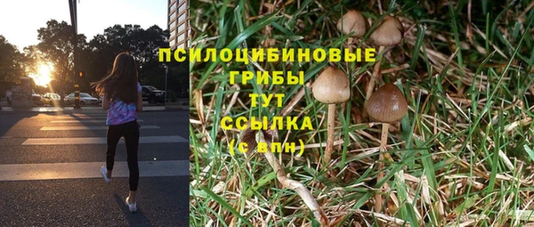 герыч Белокуриха